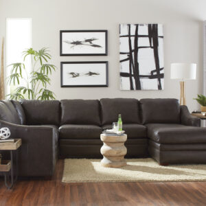 Syliva Leather Sectional Collection